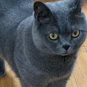 ヒメ日記 2025/08/20 23:34 投稿 まきこ 奥様の実話 梅田店