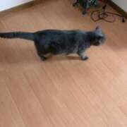 ヒメ日記 2025/08/26 23:24 投稿 まきこ 奥様の実話 梅田店