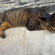 ヒメ日記 2025/08/28 19:20 投稿 まきこ 奥様の実話 梅田店