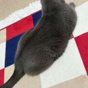 ヒメ日記 2025/08/28 21:10 投稿 まきこ 奥様の実話 梅田店