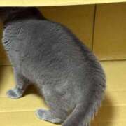 ヒメ日記 2025/09/05 00:21 投稿 まきこ 奥様の実話 梅田店