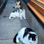 ヒメ日記 2025/09/09 19:02 投稿 まきこ 奥様の実話 梅田店