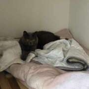 ヒメ日記 2025/09/10 21:57 投稿 まきこ 奥様の実話 梅田店