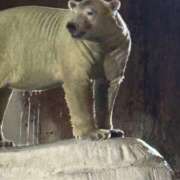 ヒメ日記 2025/09/14 23:32 投稿 まきこ 奥様の実話 梅田店