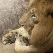 ヒメ日記 2025/09/21 21:43 投稿 まきこ 奥様の実話 梅田店