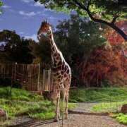 ヒメ日記 2025/09/21 21:45 投稿 まきこ 奥様の実話 梅田店