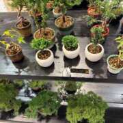 ヒメ日記 2025/09/24 21:37 投稿 まきこ 奥様の実話 梅田店