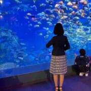 ヒメ日記 2025/09/25 12:03 投稿 まきこ 奥様の実話 梅田店