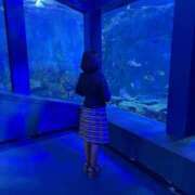 ヒメ日記 2025/09/25 21:23 投稿 まきこ 奥様の実話 梅田店