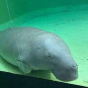 ヒメ日記 2025/09/25 21:25 投稿 まきこ 奥様の実話 梅田店