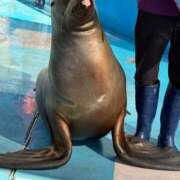 ヒメ日記 2025/09/26 19:51 投稿 まきこ 奥様の実話 梅田店