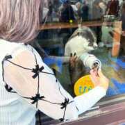 ヒメ日記 2025/09/26 19:56 投稿 まきこ 奥様の実話 梅田店