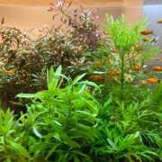 ヒメ日記 2025/09/30 09:00 投稿 まきこ 奥様の実話 梅田店