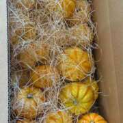 ヒメ日記 2025/09/30 17:00 投稿 まきこ 奥様の実話 梅田店