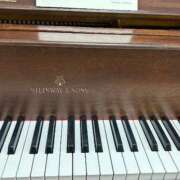 ヒメ日記 2025/09/30 22:15 投稿 まきこ 奥様の実話 梅田店