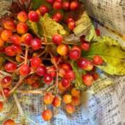 ヒメ日記 2025/10/03 14:30 投稿 まきこ 奥様の実話 梅田店