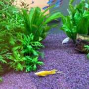 ヒメ日記 2025/10/07 09:00 投稿 まきこ 奥様の実話 梅田店