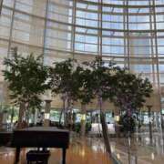 ヒメ日記 2025/10/13 18:20 投稿 まきこ 奥様の実話 梅田店