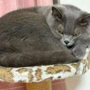 ヒメ日記 2025/10/17 22:52 投稿 まきこ 奥様の実話 梅田店