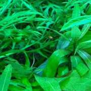 ヒメ日記 2025/10/24 09:00 投稿 まきこ 奥様の実話 梅田店