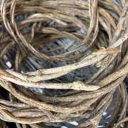 ヒメ日記 2025/10/24 16:45 投稿 まきこ 奥様の実話 梅田店