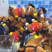 ヒメ日記 2025/10/24 18:45 投稿 まきこ 奥様の実話 梅田店