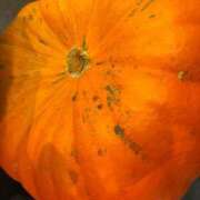 ヒメ日記 2025/10/28 16:30 投稿 まきこ 奥様の実話 梅田店