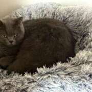 ヒメ日記 2025/10/31 21:44 投稿 まきこ 奥様の実話 梅田店