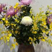 ヒメ日記 2025/11/04 11:00 投稿 まきこ 奥様の実話 梅田店