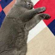 ヒメ日記 2025/11/12 23:22 投稿 まきこ 奥様の実話 梅田店