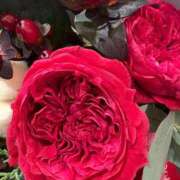 ヒメ日記 2025/11/15 11:26 投稿 まきこ 奥様の実話 梅田店