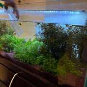 ヒメ日記 2025/11/17 11:39 投稿 まきこ 奥様の実話 梅田店