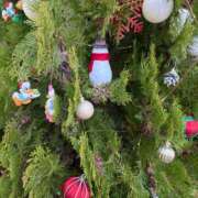 ヒメ日記 2025/11/20 16:01 投稿 まきこ 奥様の実話 梅田店