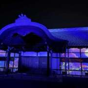 ヒメ日記 2025/11/24 10:40 投稿 まきこ 奥様の実話 梅田店