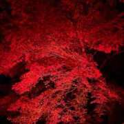 ヒメ日記 2025/11/24 10:47 投稿 まきこ 奥様の実話 梅田店