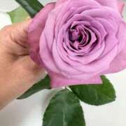 ヒメ日記 2025/11/25 18:33 投稿 まきこ 奥様の実話 梅田店