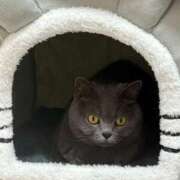 ヒメ日記 2025/11/25 22:57 投稿 まきこ 奥様の実話 梅田店