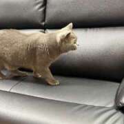 ヒメ日記 2025/11/29 20:01 投稿 まきこ 奥様の実話 梅田店