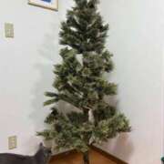 ヒメ日記 2025/11/29 20:58 投稿 まきこ 奥様の実話 梅田店