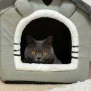 ヒメ日記 2025/11/29 21:42 投稿 まきこ 奥様の実話 梅田店