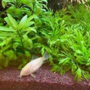 ヒメ日記 2025/12/02 09:15 投稿 まきこ 奥様の実話 梅田店