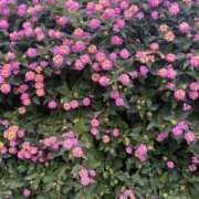 ヒメ日記 2025/12/03 11:25 投稿 まきこ 奥様の実話 梅田店