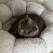 ヒメ日記 2025/12/03 23:14 投稿 まきこ 奥様の実話 梅田店