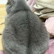 ヒメ日記 2025/12/06 20:45 投稿 まきこ 奥様の実話 梅田店