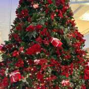 ヒメ日記 2025/12/06 21:02 投稿 まきこ 奥様の実話 梅田店