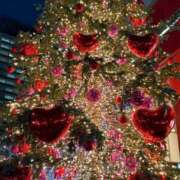 まきこ 🌹💕🌹💕🌹出勤日🌹💕🌹💕🌹 奥様の実話 梅田店