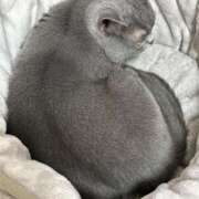 ヒメ日記 2025/12/10 20:36 投稿 まきこ 奥様の実話 梅田店