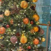 ヒメ日記 2025/12/10 20:49 投稿 まきこ 奥様の実話 梅田店