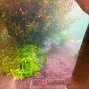 ヒメ日記 2025/12/12 15:30 投稿 まきこ 奥様の実話 梅田店