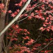 ヒメ日記 2025/12/14 20:53 投稿 まきこ 奥様の実話 梅田店